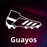 Guayos